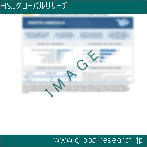 グローバルリサーチ調査レポートのイメージ